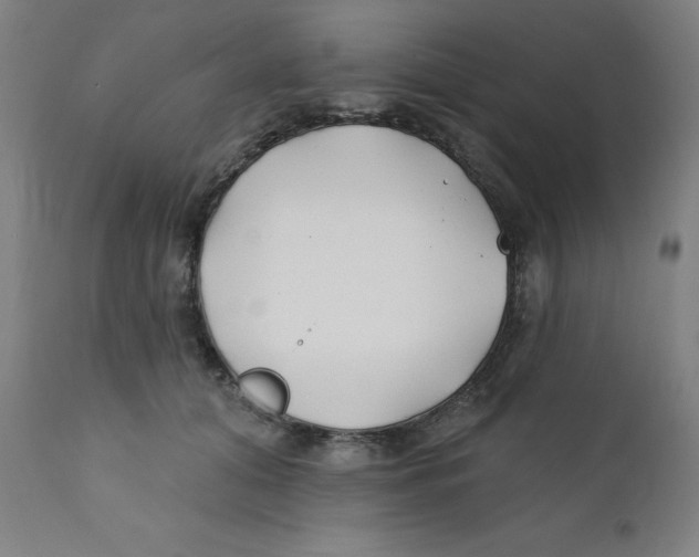 X0000112200608200909041318