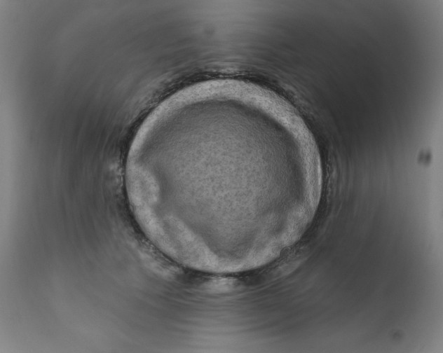 X0000112200609200909041318