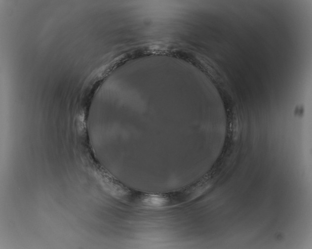 X0000112200610200909041318