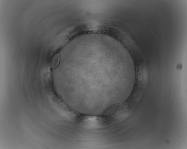X0000112200611200909041318