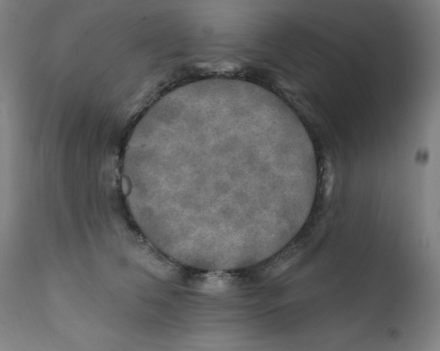 X0000112200612200909041318