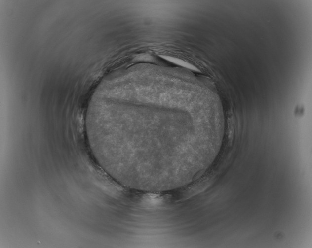 X0000112200613200909041318