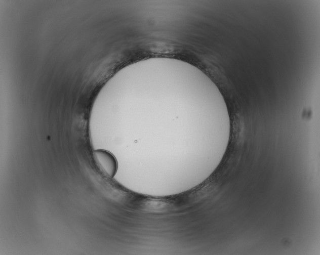X0000112200614200909041318