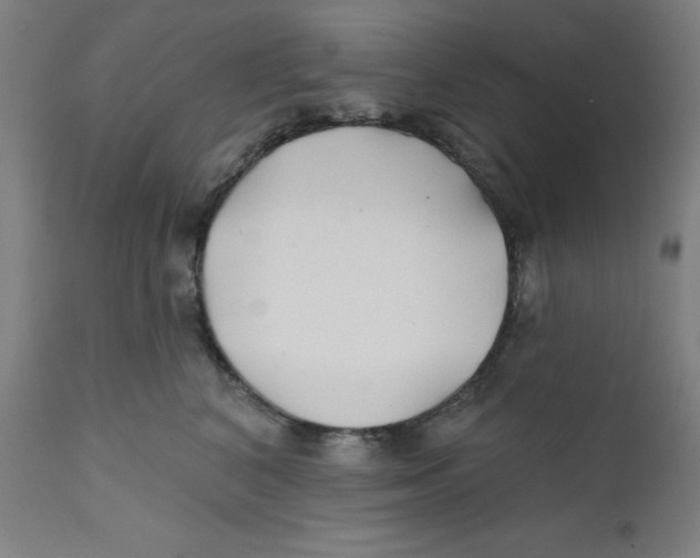 X0000112200616200909041318