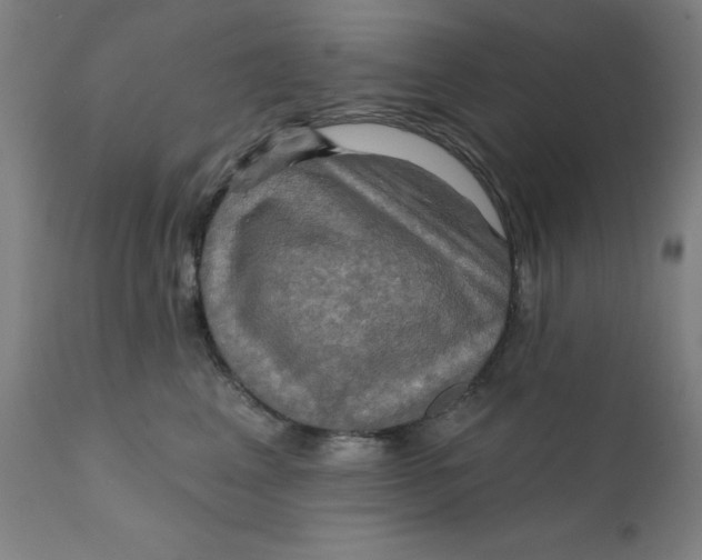 X0000112200617200909041318