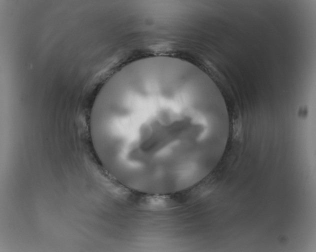 X0000112200618200909041318