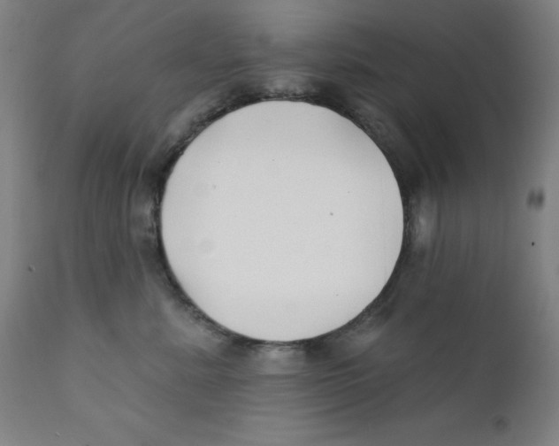 X0000112200619200909041318
