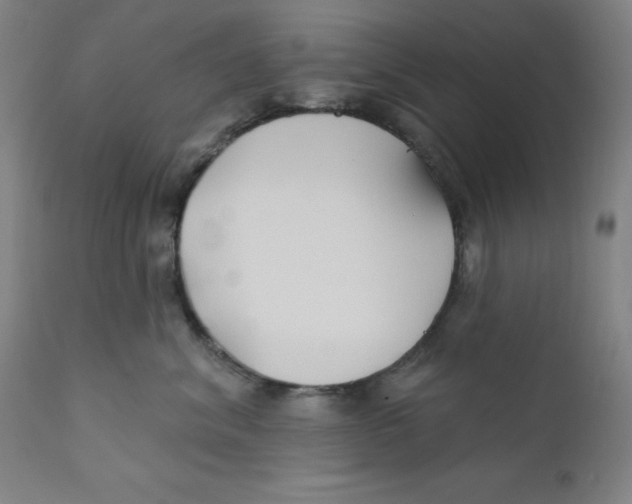 X0000112200620200909041318