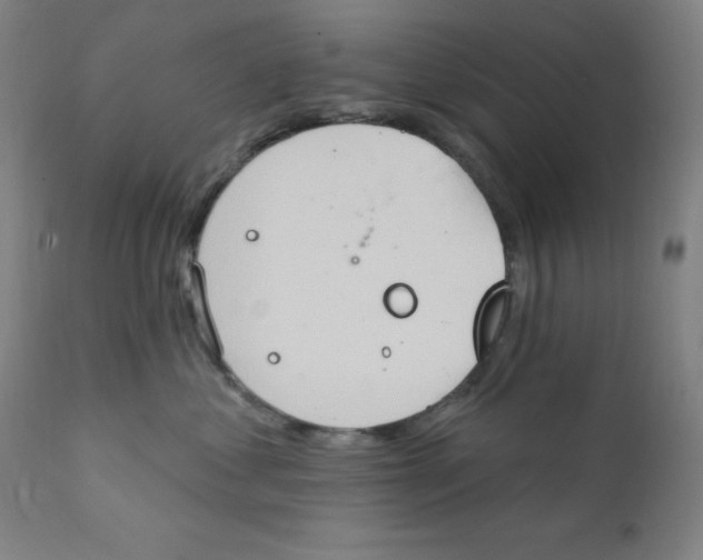 X0000112200621200909041318