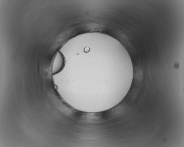 X0000112200622200909041318