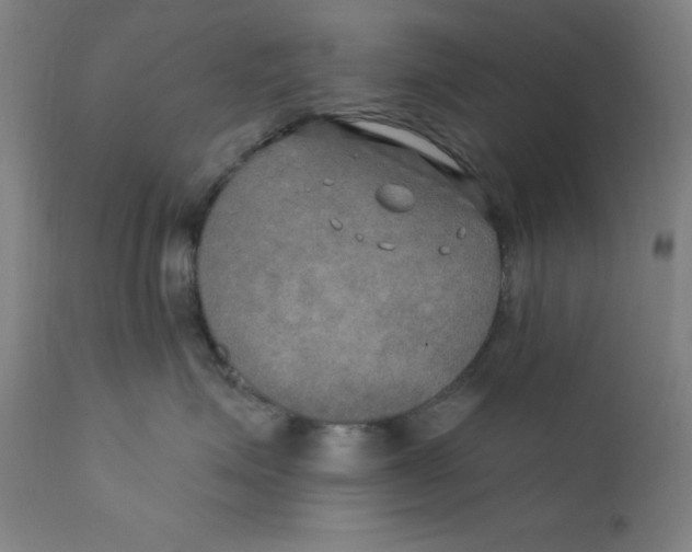 X0000112200623200909041318