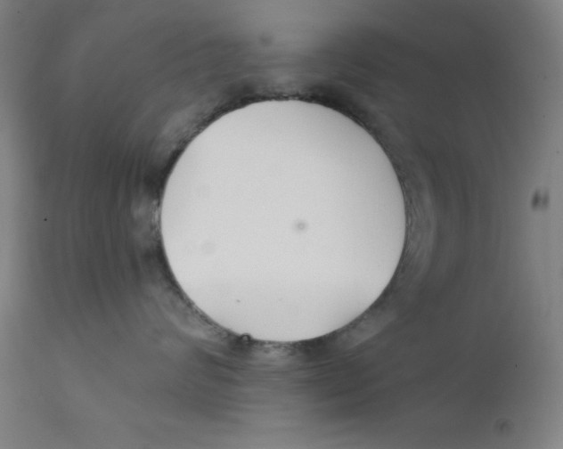 X0000112200624200909041318