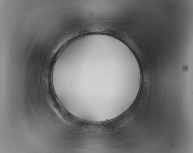 X0000112200626200909041317