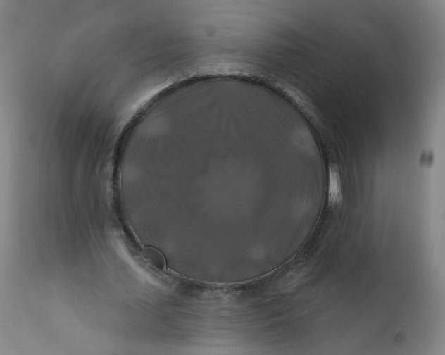 X0000112200627200909041317