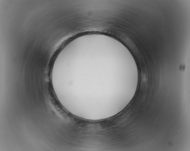X0000112200628200909041317