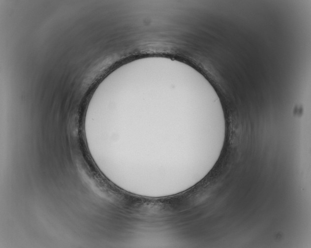 X0000112200631200909041317