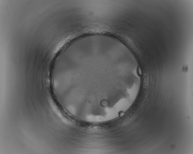 X0000112200634200909041318