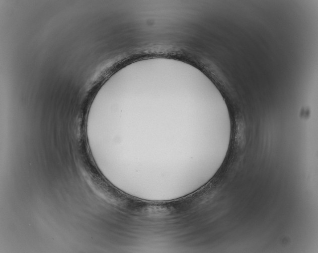 X0000112200636200909041318