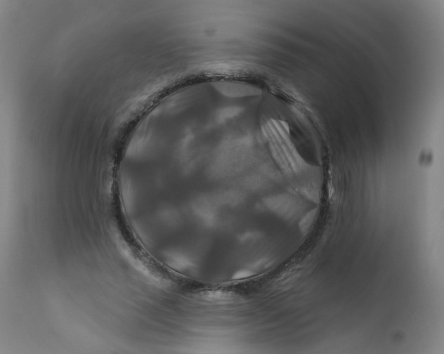 X0000112200637200909041318