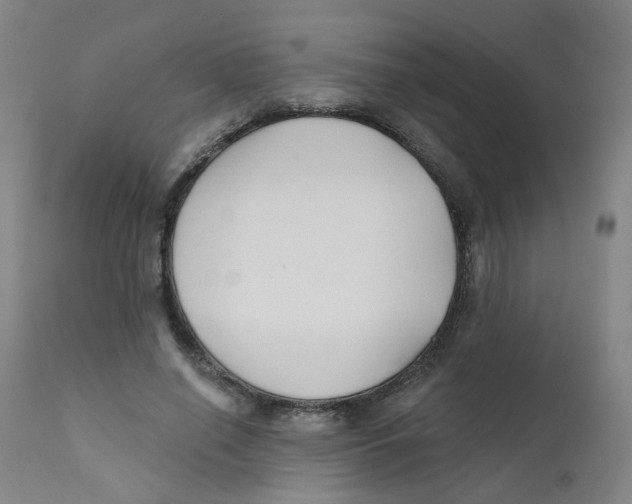 X0000112200638200909041318