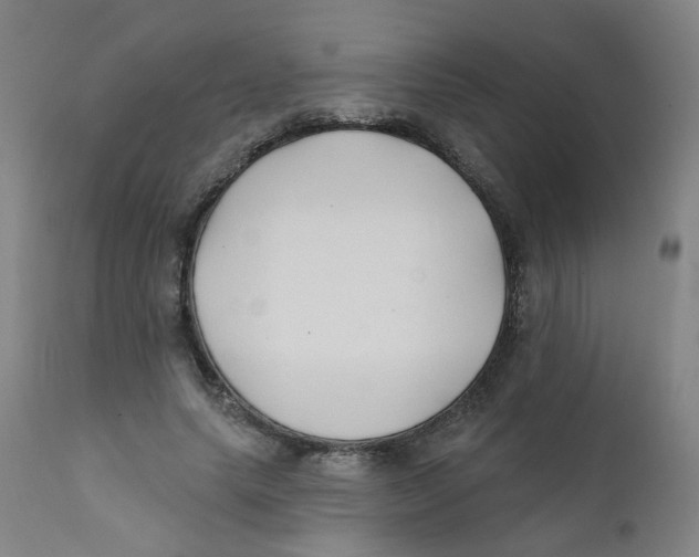 X0000112200639200909041318