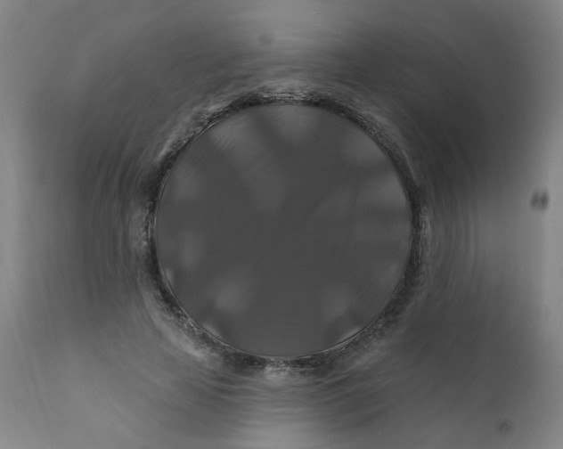 X0000112200641200909041318