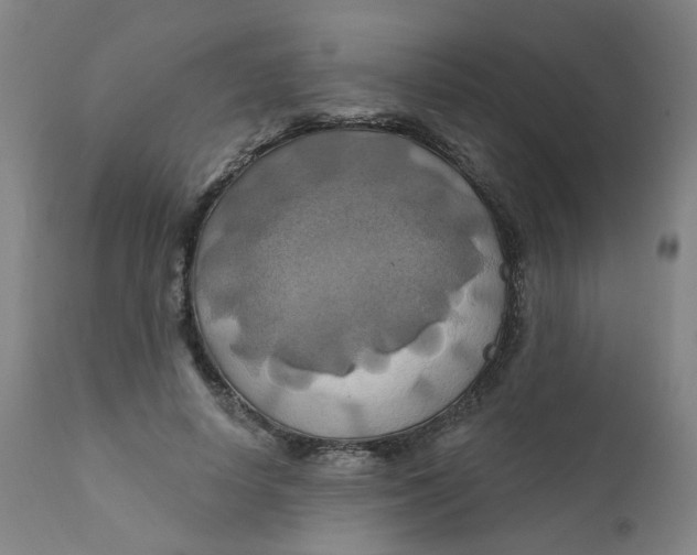 X0000112200642200909041318