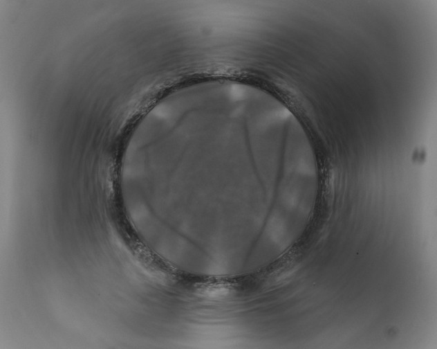 X0000112200643200909041318