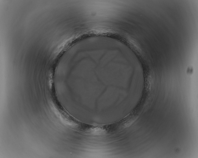 X0000112200644200909041318