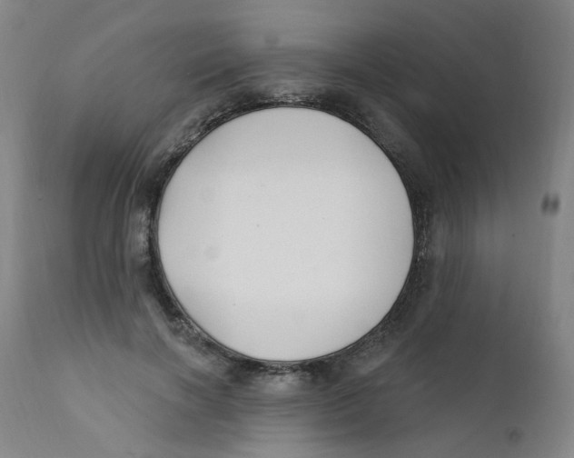 X0000112200646200909041318