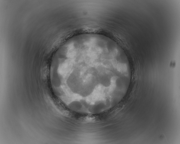 X0000112200647200909041318
