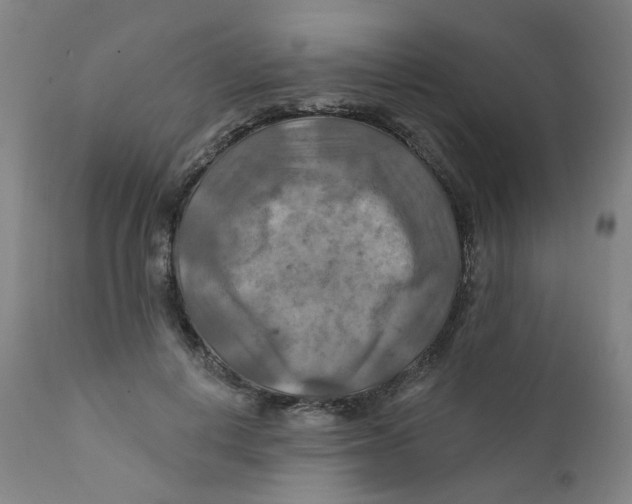 X0000112200648200909041318