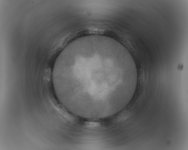 X0000112200649200909041318