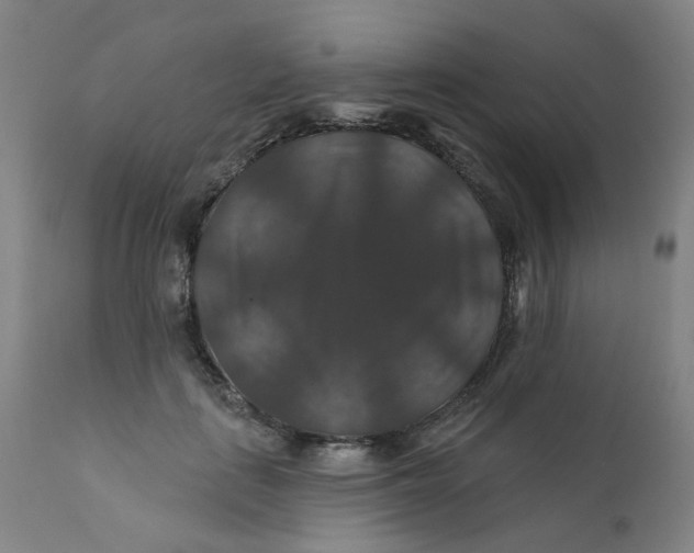 X0000112200651200909041318