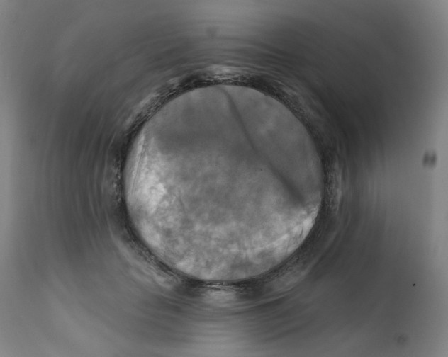 X0000112200653200909041318