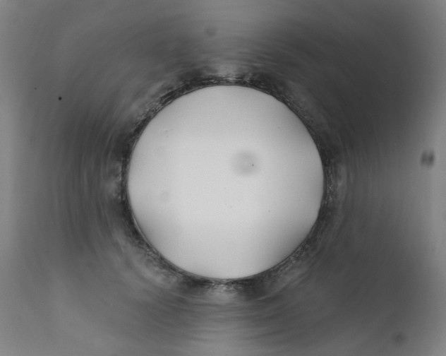 X0000112200656200909041318