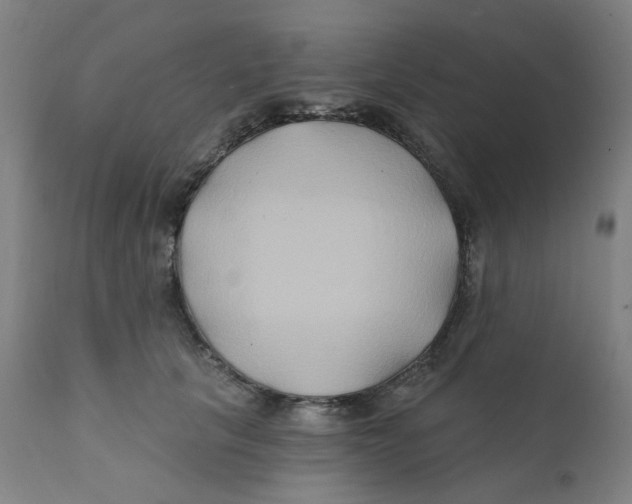 X0000112200657200909041318