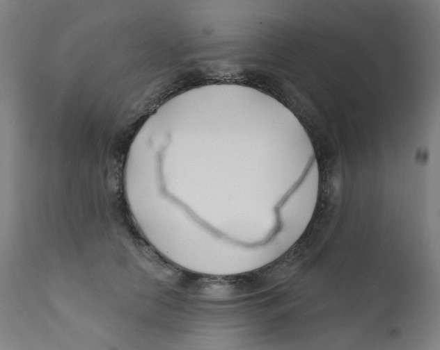 X0000112200658200909041318