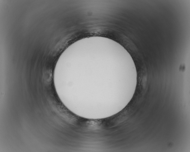 X0000112200660200909041318