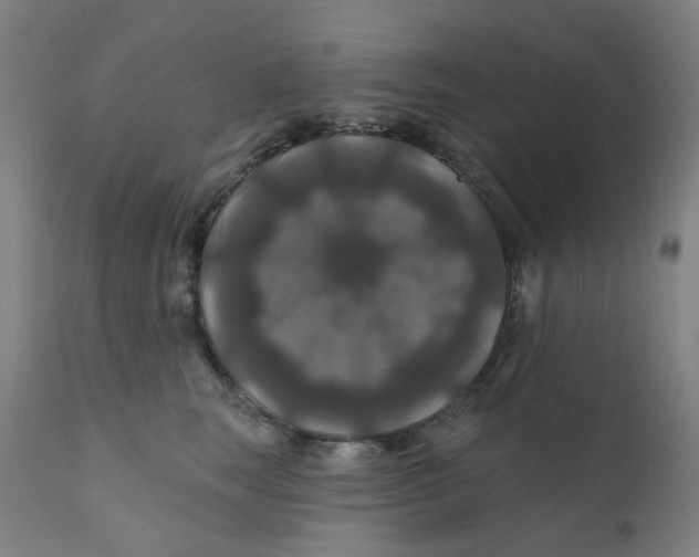 X0000112200663200909041318