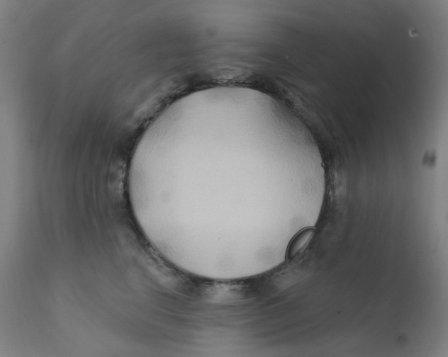 X0000112200664200909041318
