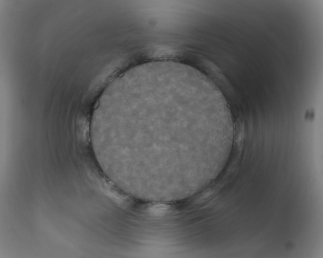 X0000112200669200909041318