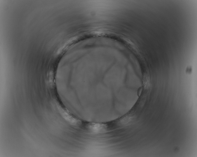 X0000112200670200909041318