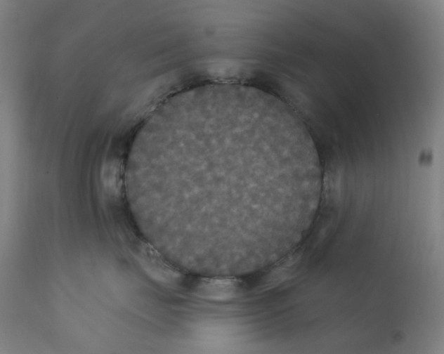X0000112200671200909041318