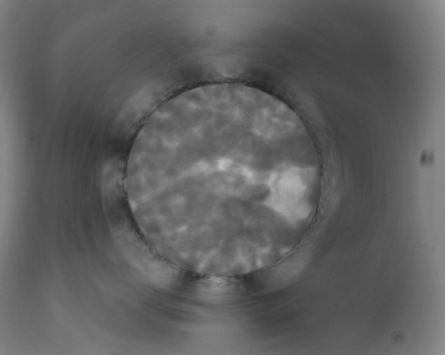 X0000112200672200909041318