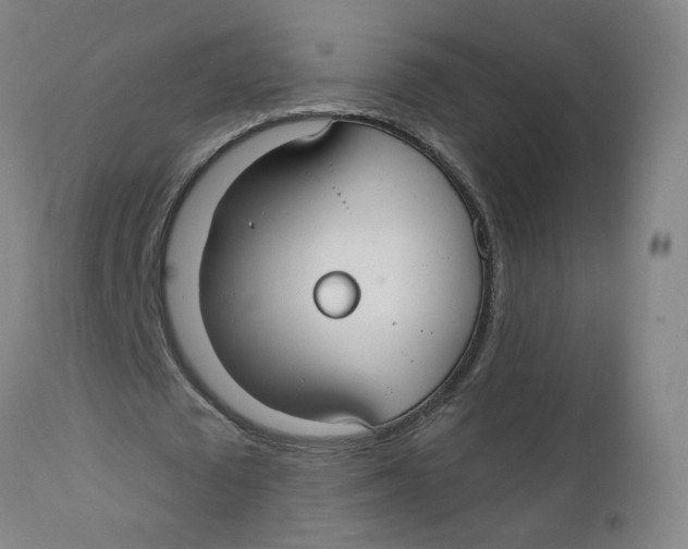 X0000112200673200909041317