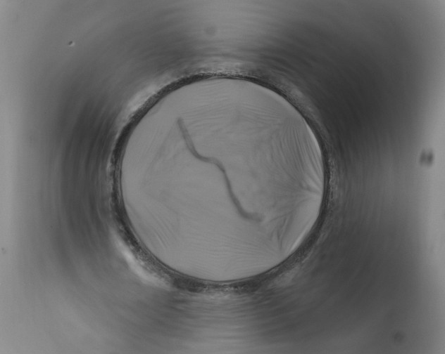 X0000112200674200909041317