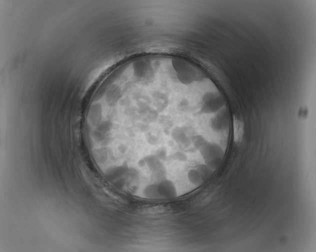 X0000112200675200909041317