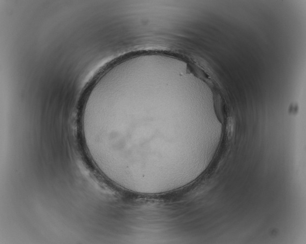 X0000112200676200909041317