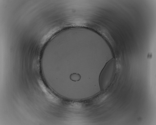 X0000112200677200909041317